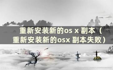 重新安装新的os x 副本（重新安装新的osx 副本失败）